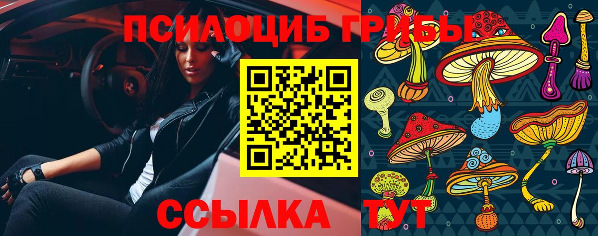 Юрга  сколько стоит  Вход с VPN  Галлюциногенные грибы Magic Shrooms 