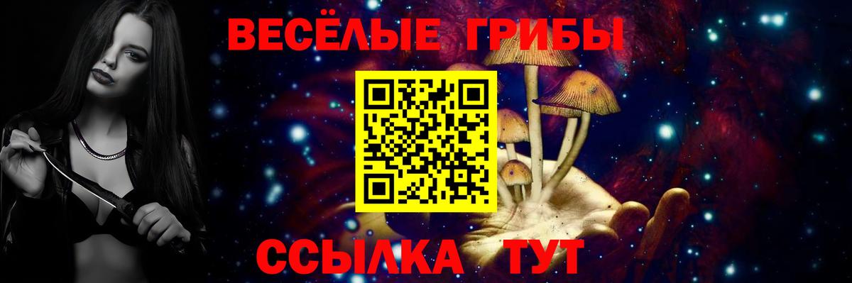 A-PVP СК   Канабис  Вход с VPN  Юрга  Cocaine  ГАШ  Гашиш  Меф   Вейп ТГК 